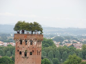 Point of interest - Piazza S. Romano by Interhome (Lucca)