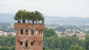 Point of interest - Galleria Degli Artisti by Interhome (Lucca)