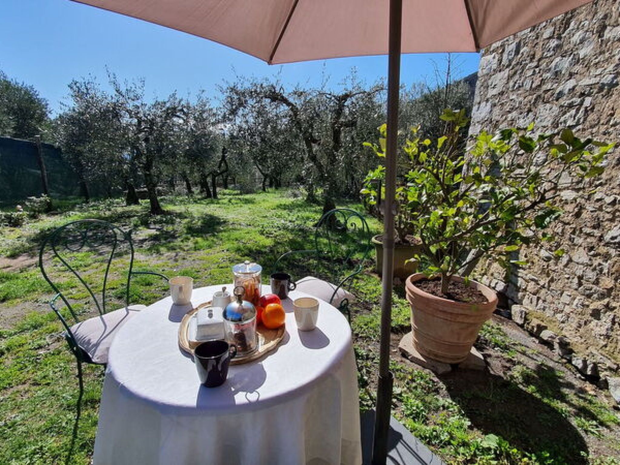 A table with a white tablecloth, a potted plant, and a tray with food and drinks.