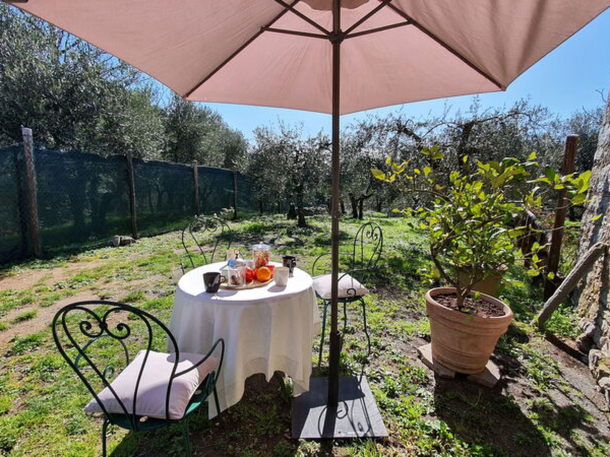 A round table with a tablecloth, a potted plant, and outdoor seating.