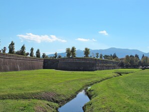 Ein grünes Feld mit einem kleinen Bach und einer Steinmauer.
