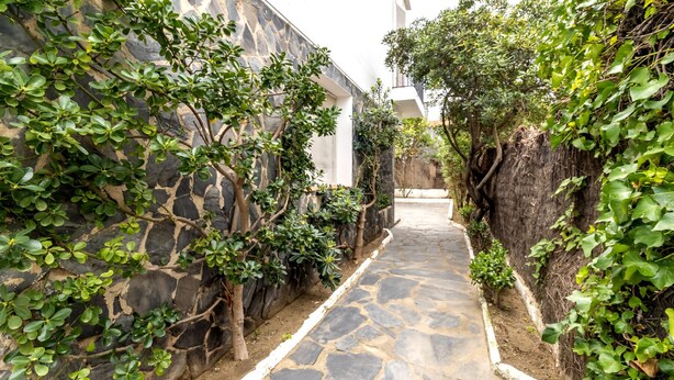 A narrow stone pathway flanked by lush greenery and stone walls, leading to a building with a white facade. - 110 Port de la Selva - House close to the beach (Port De La Selva, El)
