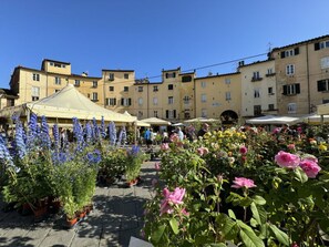Terrace - Apartment Anna by Interhome (Lucca)