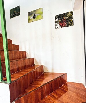 Una escalera de madera que lleva a una plataforma.
