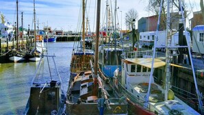 Ein Yachthafen mit verschiedenen vertäuten Booten, darunter ein blaues Boot mit der Aufschrift 'BUS 39' und ein weißes Boot mit 'LARA LAUKE'.