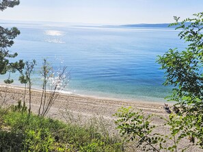 Ein Strand mit klarem Wasser, sandigem Ufer und viel Grün.