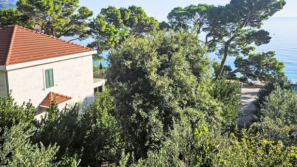 A building with a red-tiled roof, surrounded by dense greenery and overlooking a body of water. - Pine Canopy Ein-Schlafzimmer-Duplex-Wohnung A5 by Interhome (Brela)