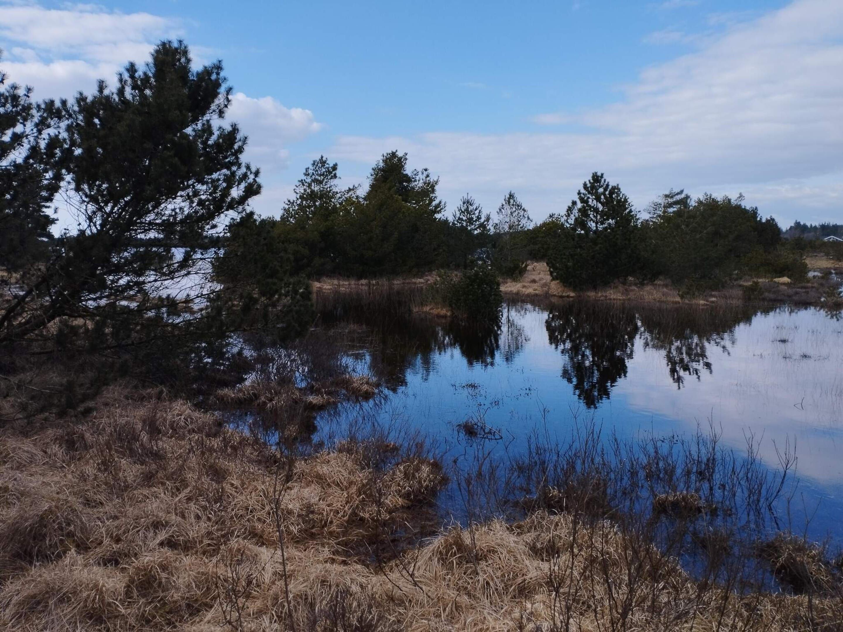 A calm body of water surrounded by trees and dry grass.