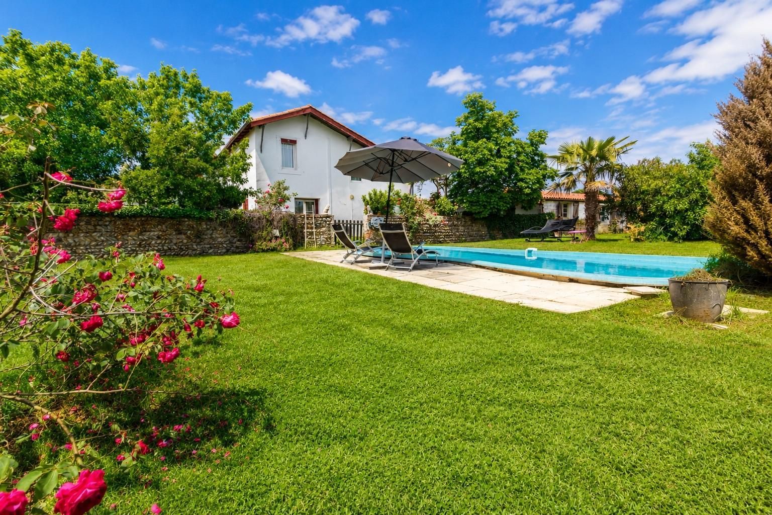A backyard with a swimming pool, a lawn, and a house.