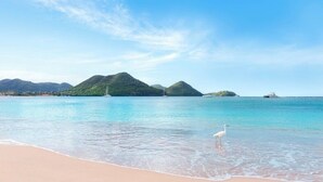 해변