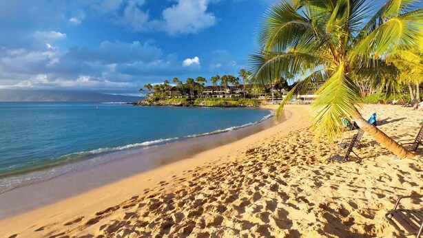 A beach with palm trees, a clear sky, and a resort in the background. - Walk to beach, 3BR Beach Escape, Amazing Value (Lahaina)