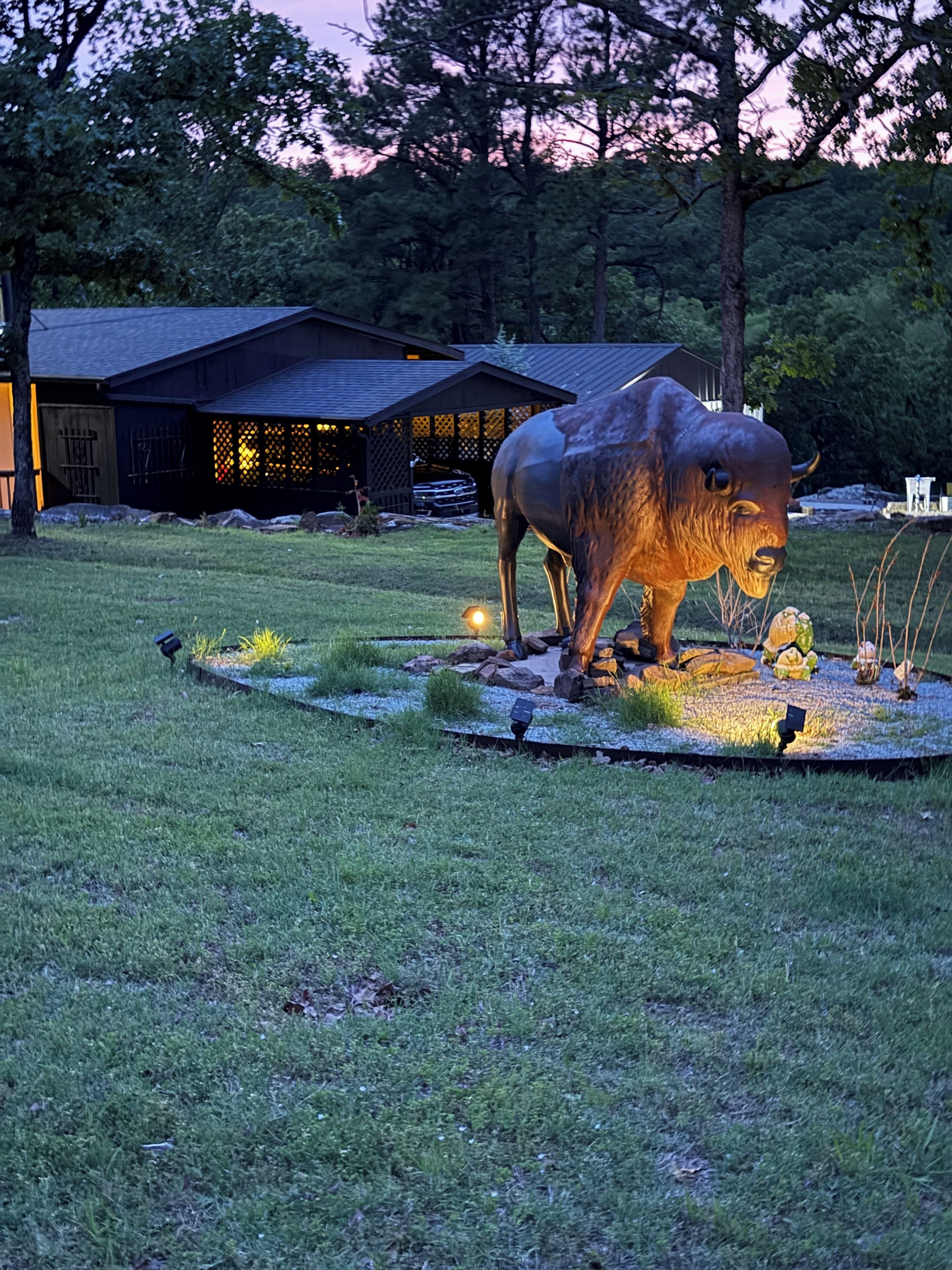 Welcome to BuffalOasis!