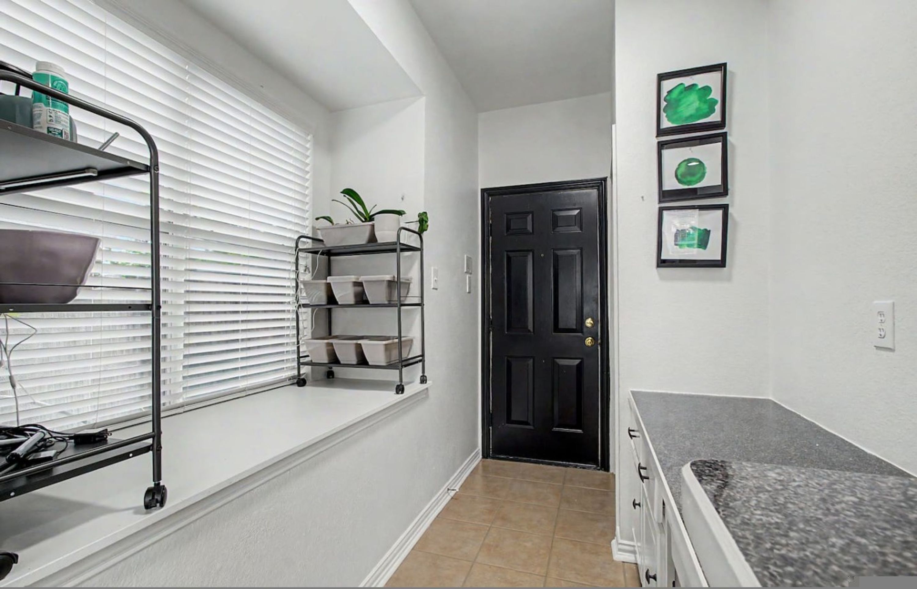A hallway with a black door, white walls, a shelf with plants, and a countertop.