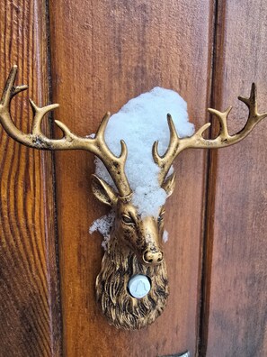 Innendetails