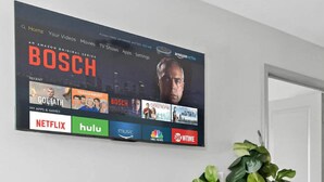 A living room with a mounted TV displaying a streaming service interface, a black console table, a potted plant, and a black and white rug. - 3 mins from Arsenal/Bridge Street (Huntsville)