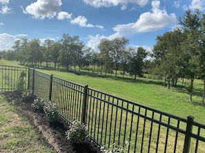 A fenced outdoor area with a grassy field and trees. - Luxury Living  (Pattison)