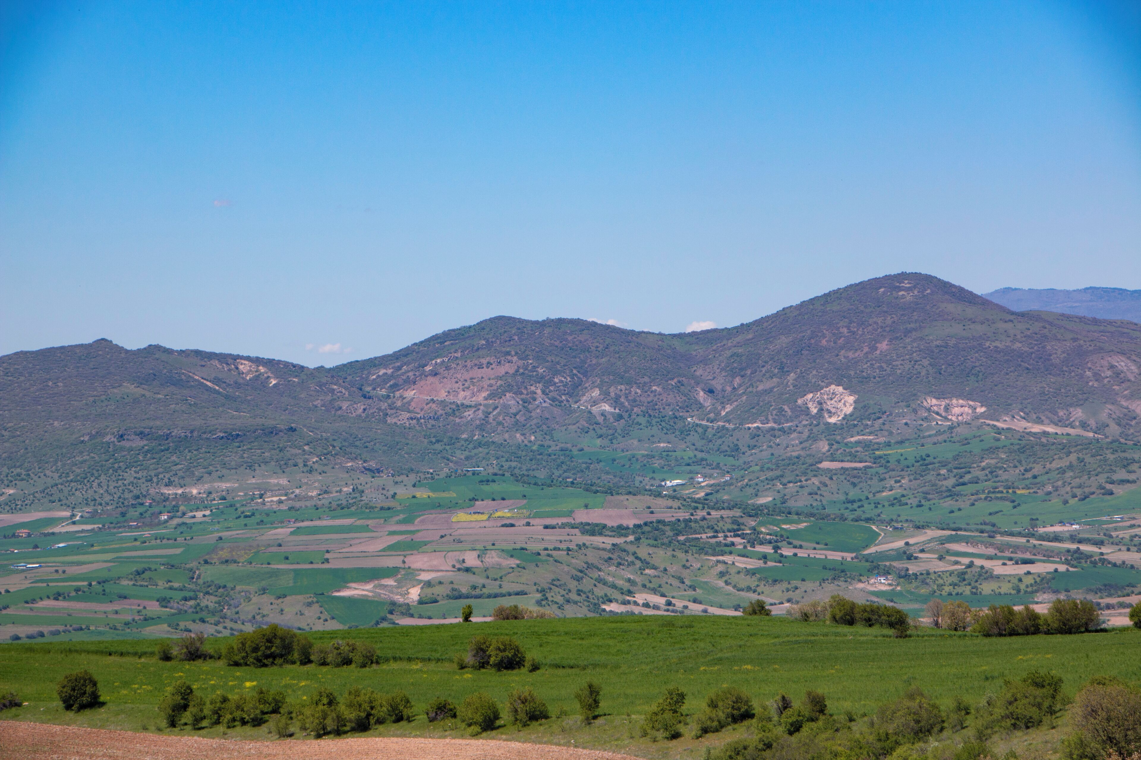 A mountainous landscape with fields and scattered trees.