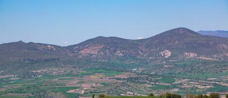 A mountainous landscape with fields and scattered trees.