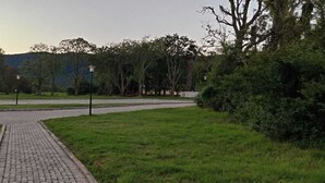 A paved pathway leading to a building with a landscaped area and trees.