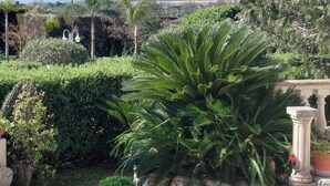 Una escalera de piedra que conduce a un jardín con diversas plantas y una valla de metal al fondo.