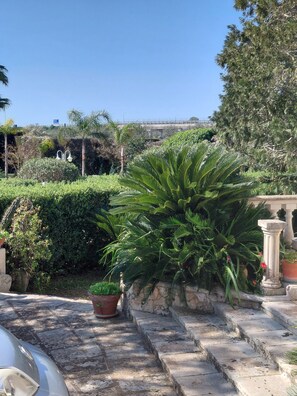 Property grounds - Villa with swimming pool surrounded by greenery (Muro Leccese)