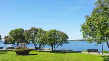 A park with a grassy area, benches, and trees by a body of water.