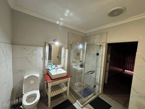 Shower, hair dryer