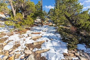 A snowy outdoor area with trees and a wooden path.