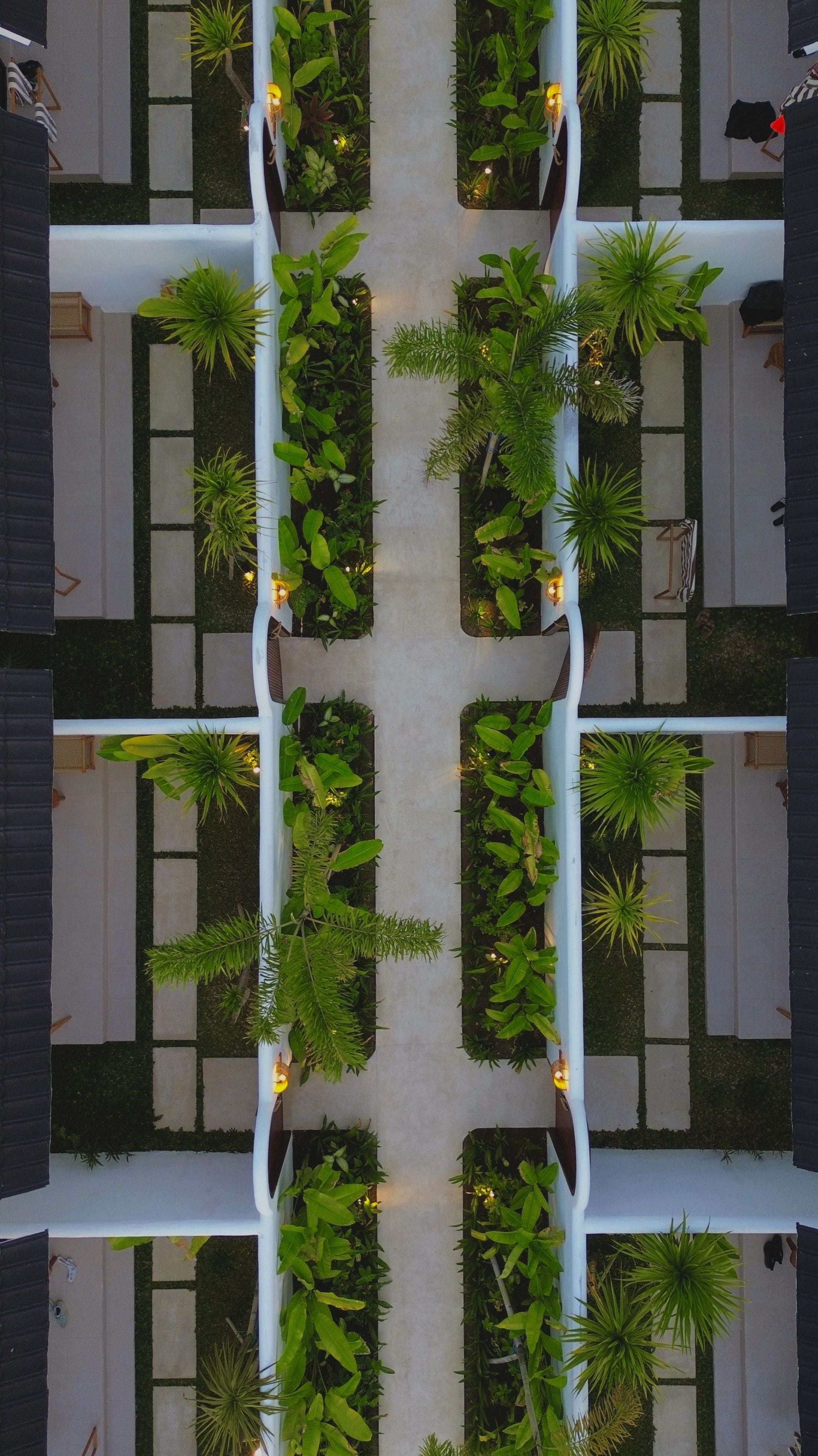 Un espacio exterior simétrico con un camino central bordeado por jardineras y zonas de estar.