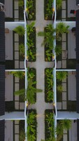 Un espacio exterior simétrico con un camino central bordeado por jardineras y zonas de estar.