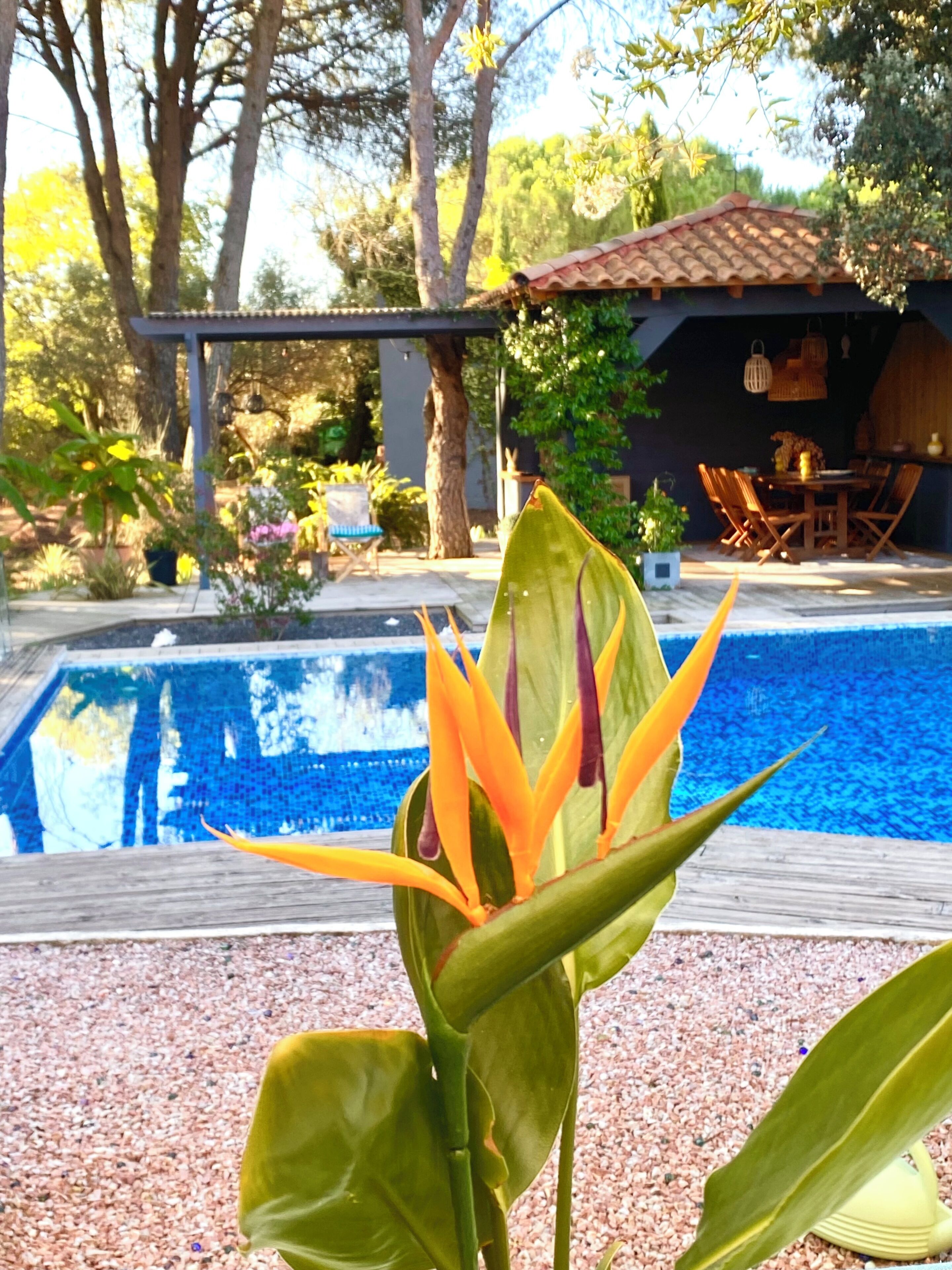 Piscine extérieure