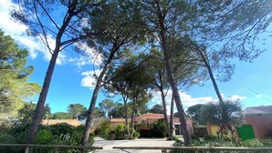 Uma trilha pavimentada que leva a um portão, cercada por árvores altas e vegetação.