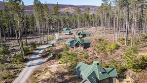 Syöeräinen mökkialue, jossa on useita mökkejä, soratie ja ympäröivä metsä.