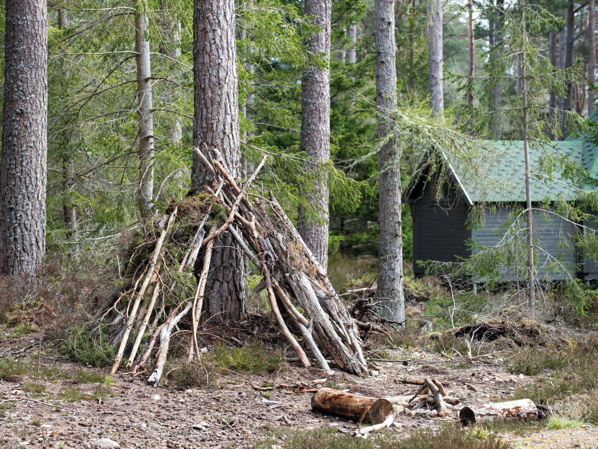 Ein Wald mit einer kleinen Holzhütte und einem provisorischen Unterstand aus Ästen.