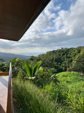 Vista desde un espacio exterior cubierto con barandilla de metal, sobre un verde y exuberante paisaje montañoso a lo lejos.