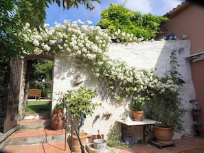 Terraza o patio
