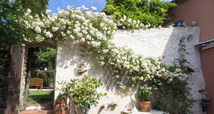 RENTALS IN THE PROVENCAL COUNTRYSIDE IN LE BEAUSSET (VARÀ)