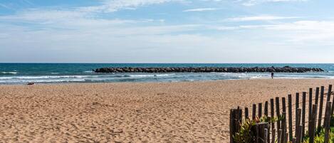Playa en los alrededores