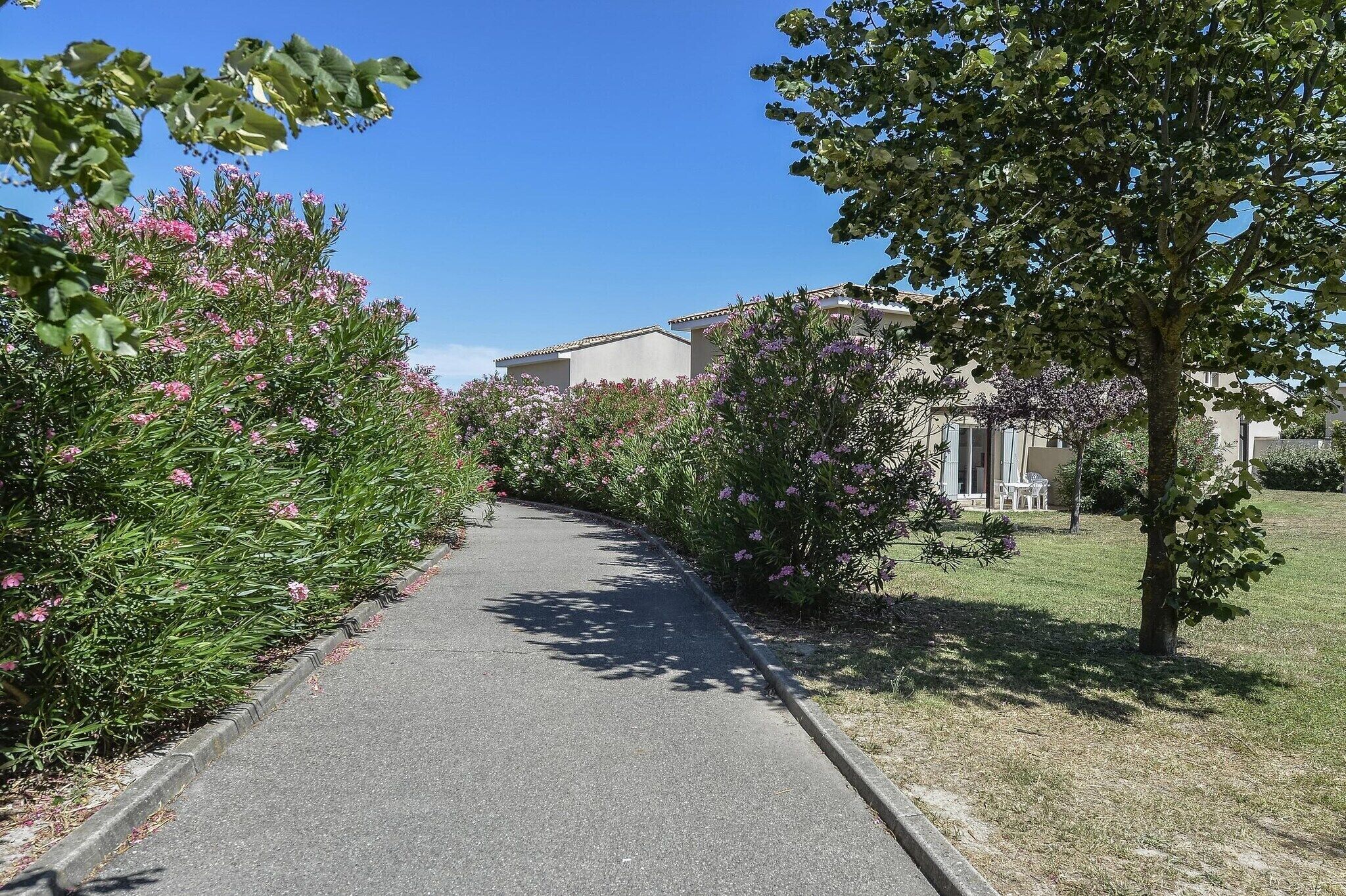 Een pad langs bloeiende struiken en bomen, dat leidt naar een gebouw met een beige gevel.