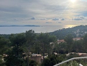 Eine Küstenlandschaft mit Blick auf das Meer, hügeliges Gelände mit vereinzelten Gebäuden und dichtem Grün.