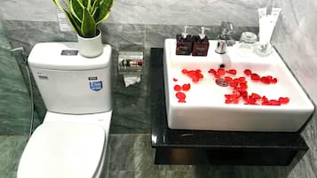 Regadera, secadora de cabello, bidet, toallas