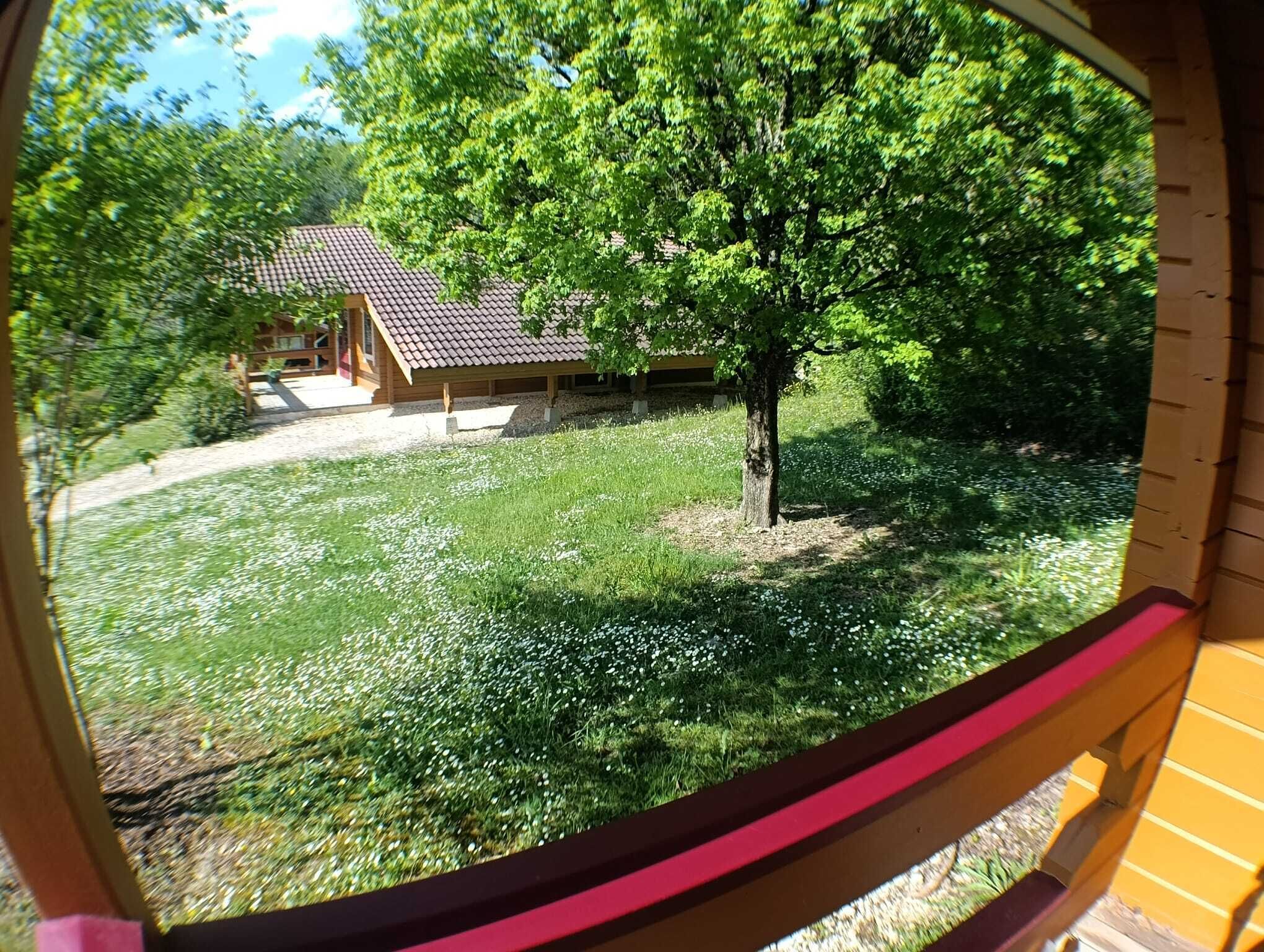 Une vue à travers une fenêtre d’une structure en bois, avec un toit recouvert de tuiles, un arbre et une zone herbeuse parsemée de fleurs blanches.