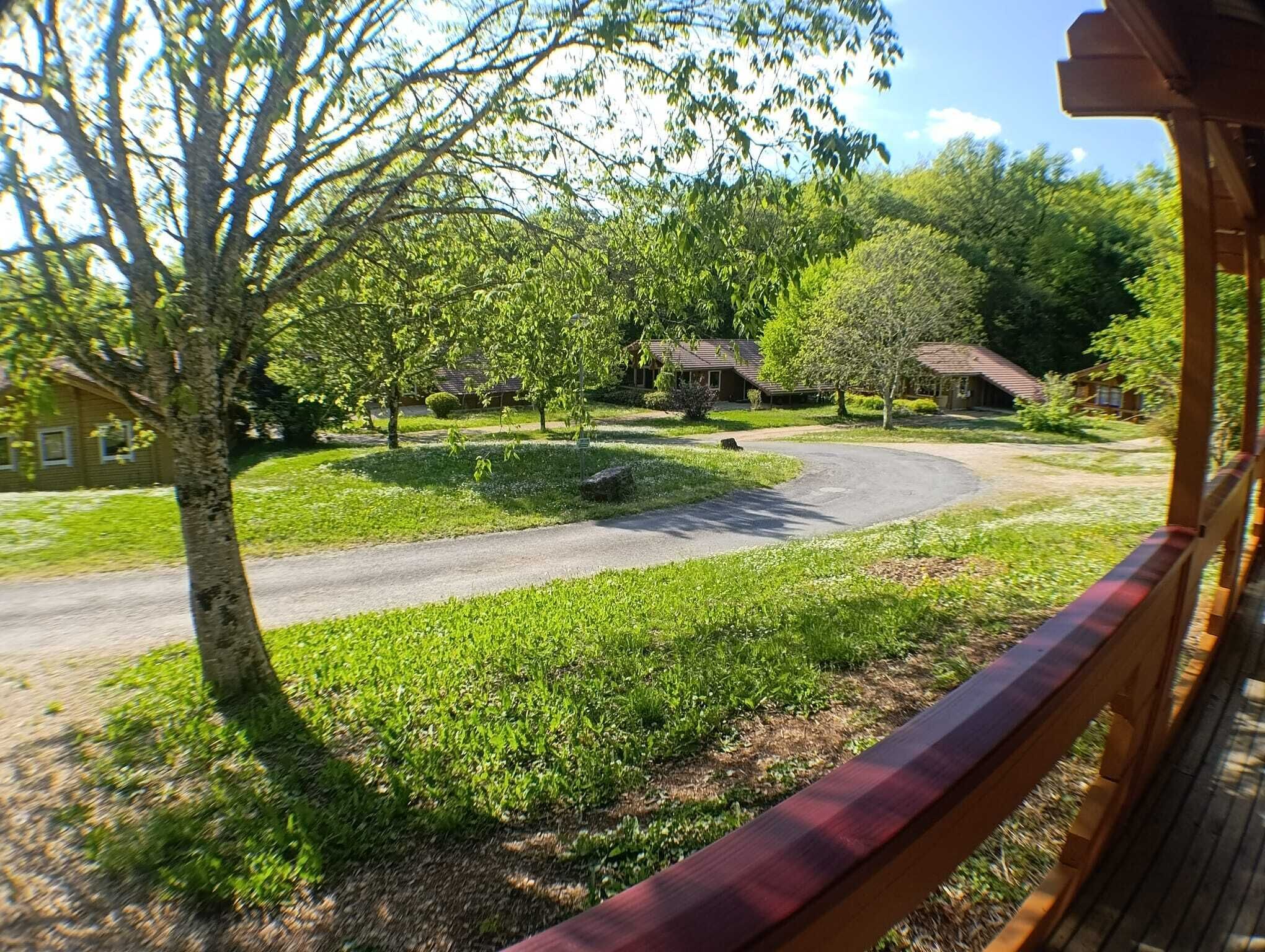 Un quartier résidentiel avec une allée incurvée, des arbres et une maison dotée d’un toit en pente.