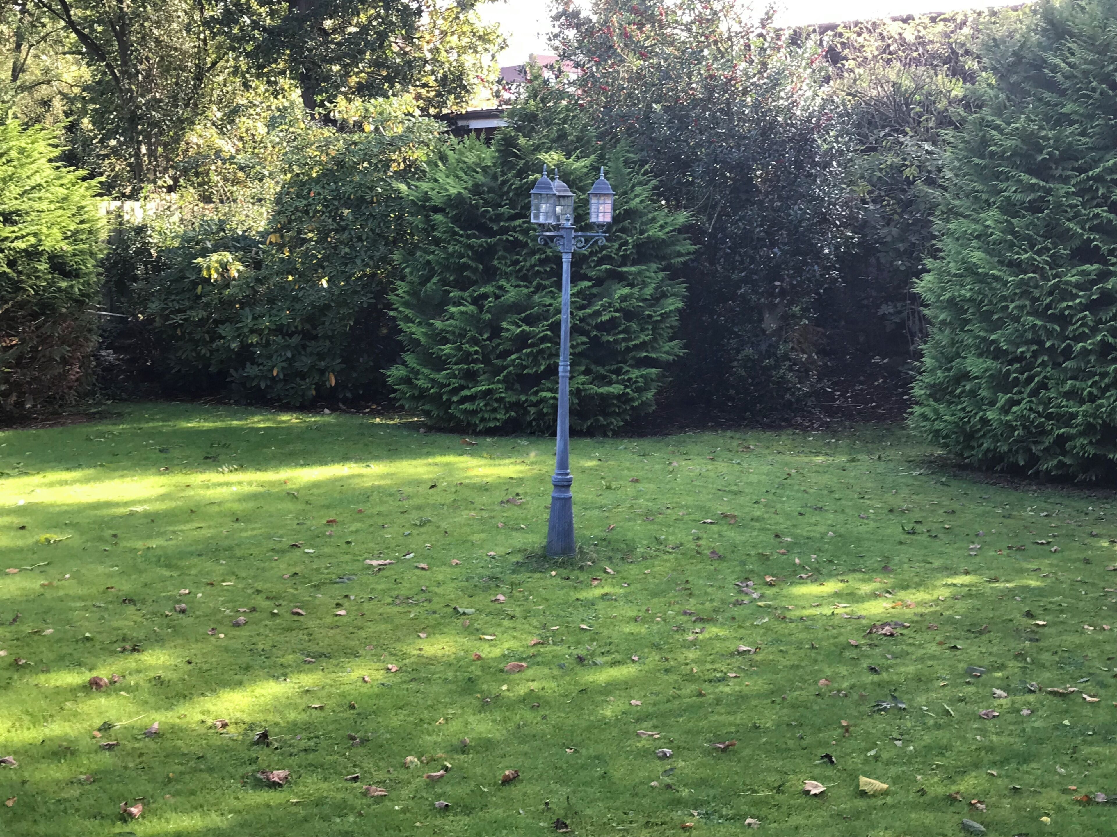 Ein gepflegter Rasen mit einem hohen, schlanken Straßenlaternenmast in der Mitte.