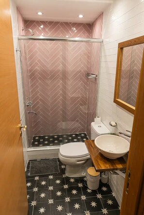 Regadera, secadora de cabello, bidet, toallas 