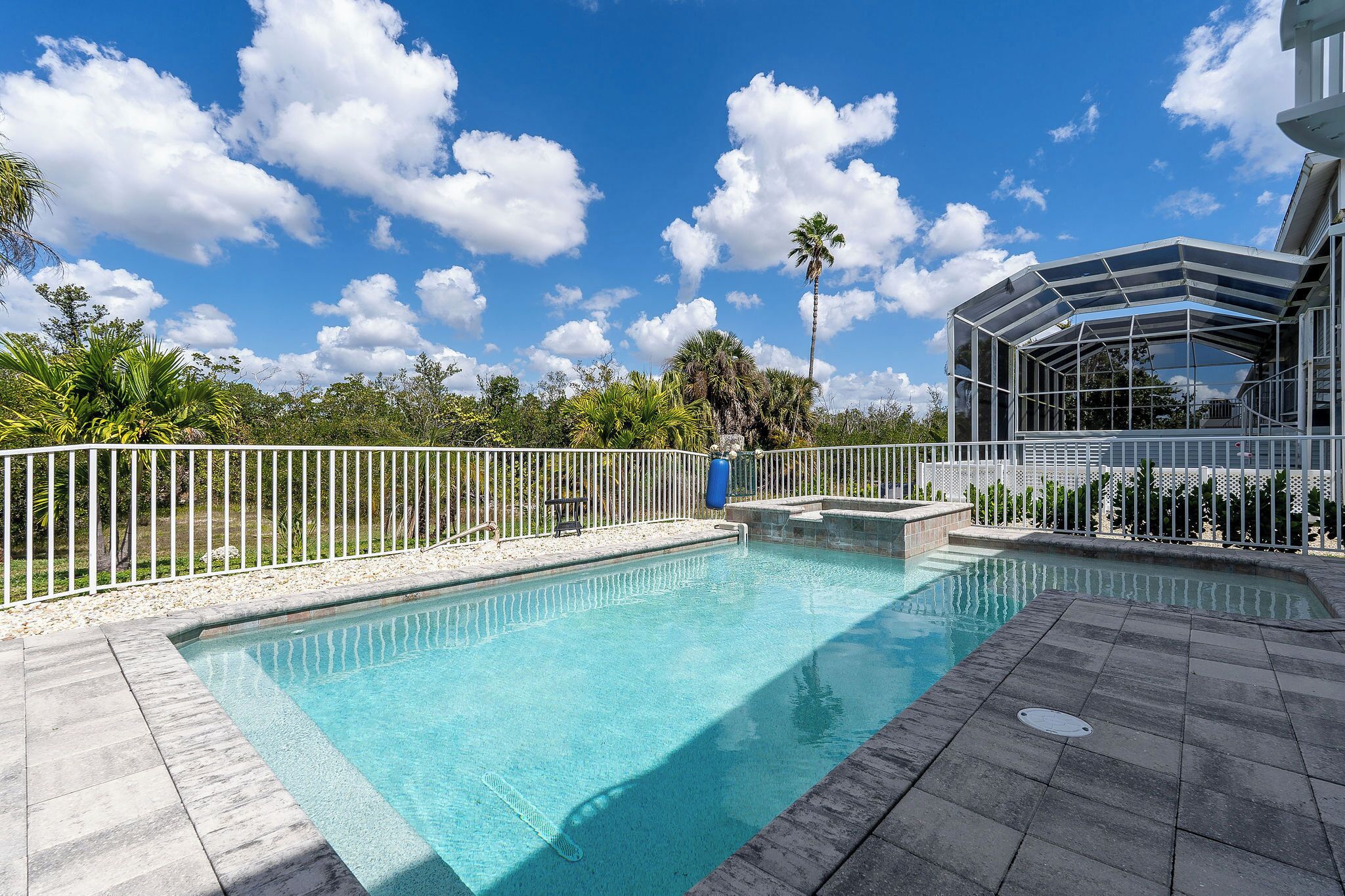 Une piscine entourée d’une clôture blanche, un palmier et un ciel bleu azur.