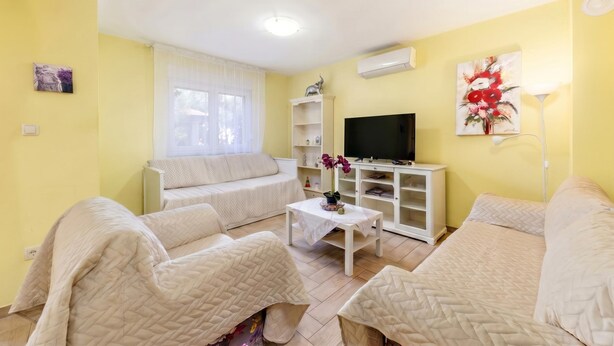 A living room with a sofa, a coffee table, a TV, and a bookshelf. - Pool and Garden Apartment Hortenzija (Kostrena)