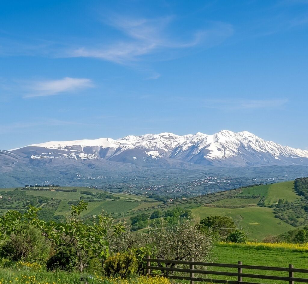 Una cordillera con picos nevados, un valle verde y un cielo azul despejado.
