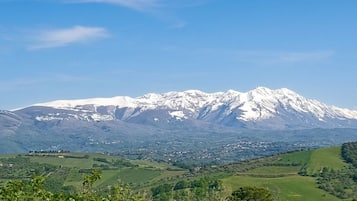 Ein Gebirge mit schneebedeckten Gipfeln, ein grünes Tal und ein klarer, blauer Himmel.