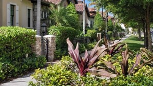 Une rue résidentielle bordée de maisons, avec une entrée sécurisée et une végétation luxuriante.
